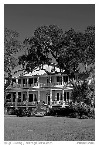 Tidalholm. Beaufort, South Carolina, USA (black and white)