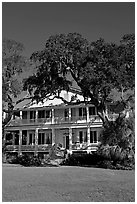 Tidalholm. Beaufort, South Carolina, USA ( black and white)