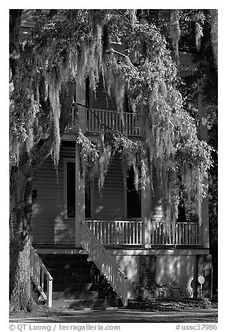 Spanish moss and balcony house. Beaufort, South Carolina, USA