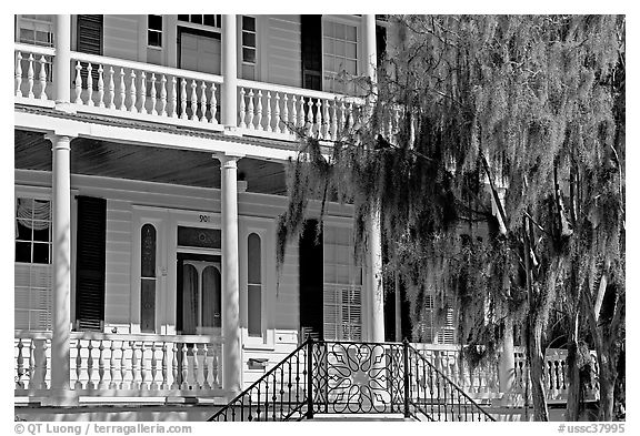 Facade with balconies, columns, and spanish moss. Beaufort, South Carolina, USA (black and white)