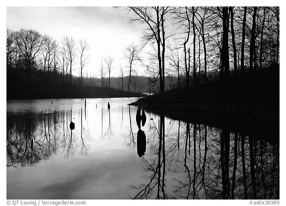 Sunrise over a pond. Tennessee, USA