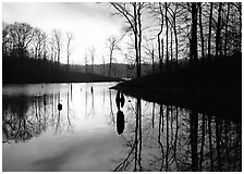 Sunrise over a pond. Tennessee, USA (black and white)