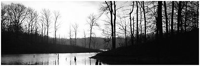 Winter landscape with bare trees and pond at sunrise. Tennessee, USA (Panoramic black and white)