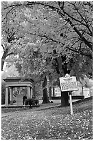 Autumn colors in gardens of state capitol. Nashville, Tennessee, USA (black and white)