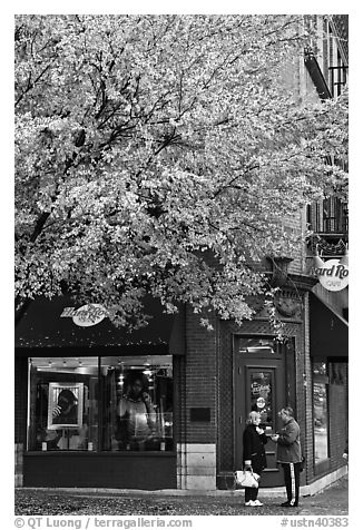 Tree in fall foliage and brick building. Nashville, Tennessee, USA