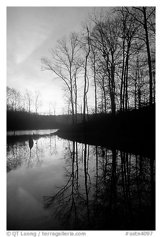 Sunrise over a pond. Tennessee, USA (black and white)