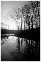 Sunrise over a pond. Tennessee, USA (black and white)