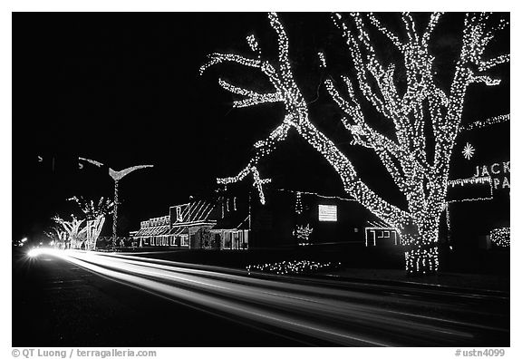 Christmas lights and traffic. Tennessee, USA