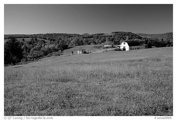Meadow and barn. Virginia, USA (black and white)