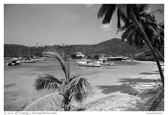 Cruz Bay yacht harbor. Saint John, US Virgin Islands (black and white)