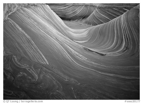 Ondulating stripes, the Wave. Coyote Buttes, Vermilion cliffs National Monument, Arizona, USA (black and white)