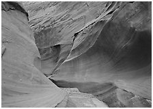 Water Holes Canyon. Arizona, USA (black and white)