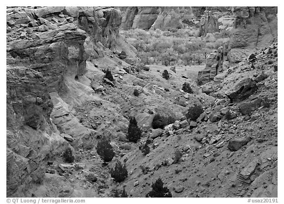 Red rocks, Canyon de Cheilly, Junction Overlook. USA (black and white)