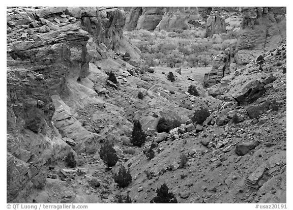 Red rocks, Canyon de Chelly, Junction Overlook. Canyon de Chelly  National Monument, Arizona, USA