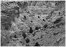 Red rocks, Canyon de Chelly, Junction Overlook. Canyon de Chelly  National Monument, Arizona, USA (black and white)