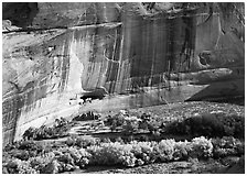 Floor of canyon with cottonwoods in fall colors and White House ruins. Canyon de Chelly  National Monument, Arizona, USA (black and white)