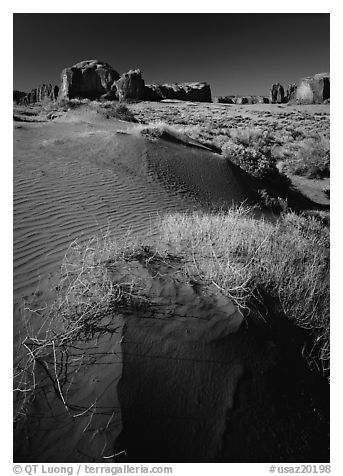 Grasses and sand dunes. Monument Valley Tribal Park, Navajo Nation, Arizona and Utah, USA (black and white)