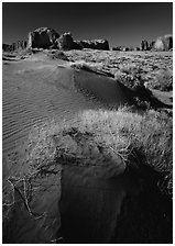Grasses and sand dunes. Monument Valley Tribal Park, Navajo Nation, Arizona and Utah, USA (black and white)