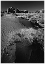 Grasses and sand dunes. Monument Valley Tribal Park, Navajo Nation, Arizona and Utah, USA (black and white)