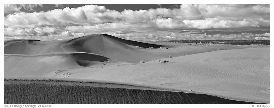 Sand dunes and clouds. Canyon de Chelly  National Monument, Arizona, USA (black and white)