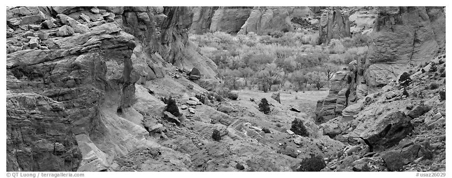 Canyon de Chelly landscape. Canyon de Chelly  National Monument, Arizona, USA (black and white)