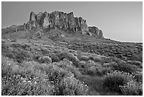 Craggy Superstition Mountains and brittlebush, Lost Dutchman State Park, dusk. Arizona, USA (black and white)