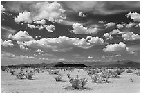 Sandy plain and clouds, South Maricopa Mountains. Sonoran Desert National Monument, Arizona, USA ( black and white)