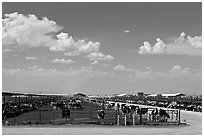 Cattle feedlot, Maricopa. Arizona, USA (black and white)