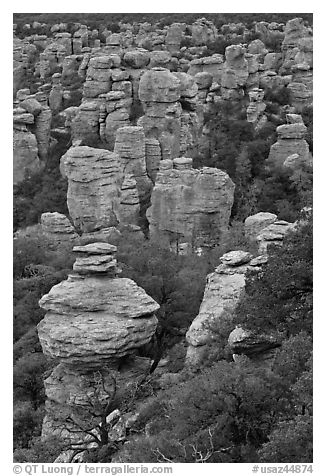 Rhyolite spires. Chiricahua National Monument, Arizona, USA (black and white)