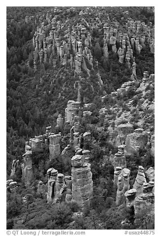 Rhyolite columns. Chiricahua National Monument, Arizona, USA (black and white)