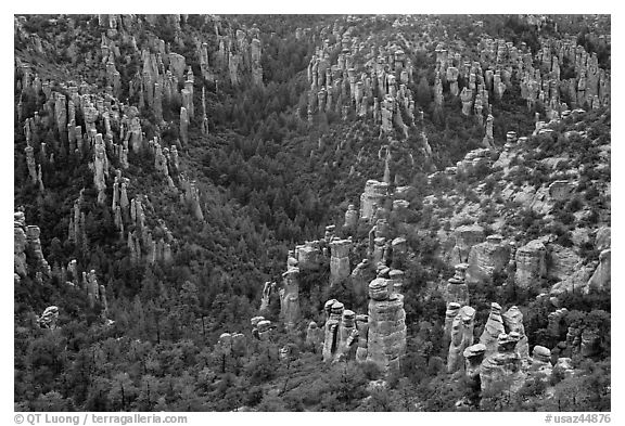 Landscape of spires from Massai Point. Chiricahua National Monument, Arizona, USA (black and white)