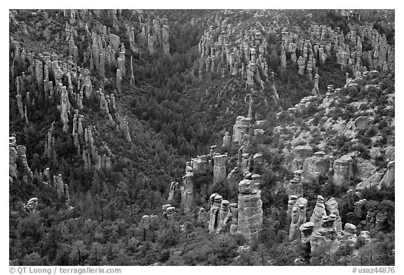 Landscape of spires from Massai Point. Chiricahua National Monument, Arizona, USA