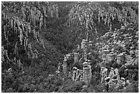 Landscape of spires from Massai Point. Chiricahua National Monument, Arizona, USA ( black and white)