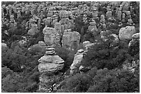 Rhyolite pinnacles. Chiricahua National Monument, Arizona, USA ( black and white)