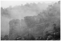 Fog and spires. Chiricahua National Monument, Arizona, USA (black and white)