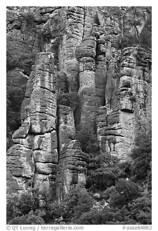 Cliff eroded into stone pillars. Chiricahua National Monument, Arizona, USA