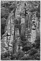 Cliff eroded into stone pillars. Chiricahua National Monument, Arizona, USA (black and white)