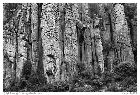 Organ pipe volcanic rock formations. Chiricahua National Monument, Arizona, USA (black and white)