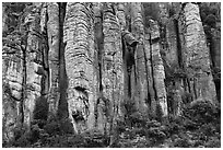 Organ pipe volcanic rock formations. Chiricahua National Monument, Arizona, USA (black and white)
