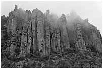 Stone columns. Chiricahua National Monument, Arizona, USA (black and white)