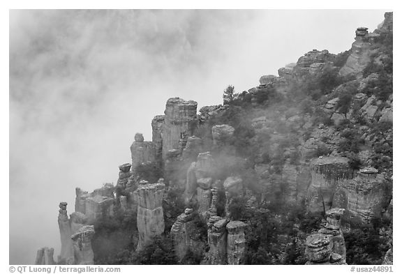 Rock pillars and fog. Chiricahua National Monument, Arizona, USA (black and white)