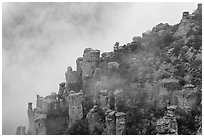 Rock pillars and fog. Chiricahua National Monument, Arizona, USA ( black and white)