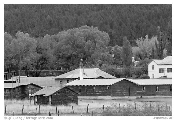 Alpine. Arizona, USA (black and white)