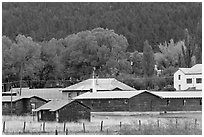 Alpine. Arizona, USA ( black and white)
