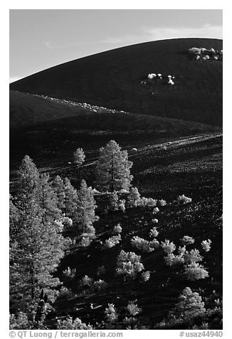 Cinder cone detail, Sunset Crater Volcano National Monument. Arizona, USA (black and white)