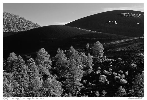 Volcanic landscape with cinder domes, Sunset Crater Volcano National Monument. Arizona, USA