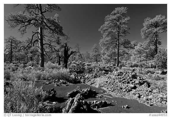 Kana-a lava flow, Coconino National Forest. Arizona, USA (black and white)