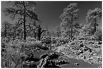 Kana-a lava flow, Coconino National Forest. Arizona, USA (black and white)