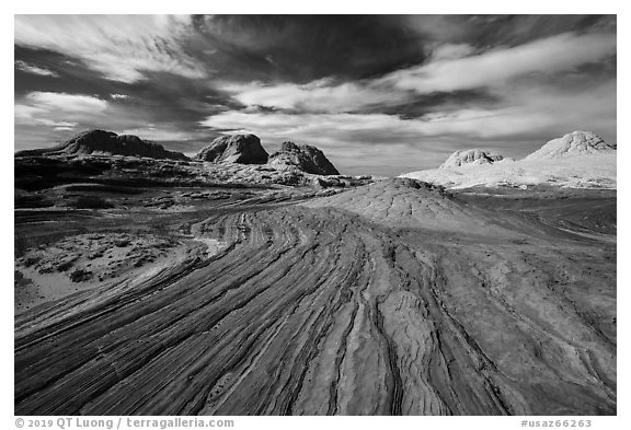 Red swirl, White Pocket. Vermilion Cliffs National Monument, Arizona, USA (black and white)