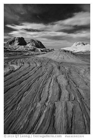 Sandstone swirl, White Pocket. Vermilion Cliffs National Monument, Arizona, USA (black and white)